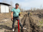 Каменские плесы